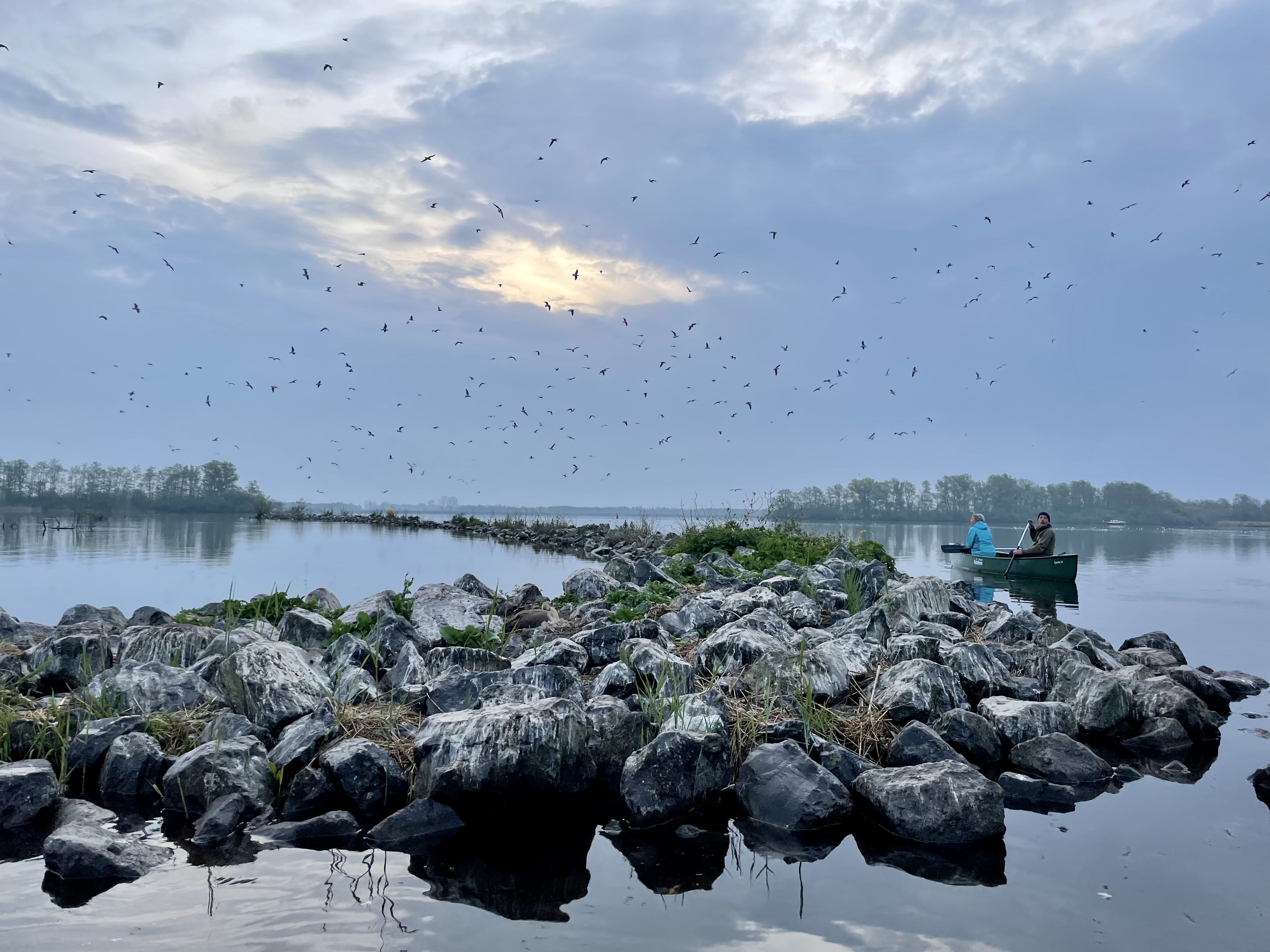 Kanotocht in Nationaal Park De Alde Faenen