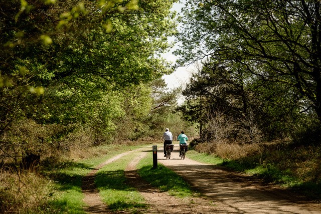NP Maasduinen