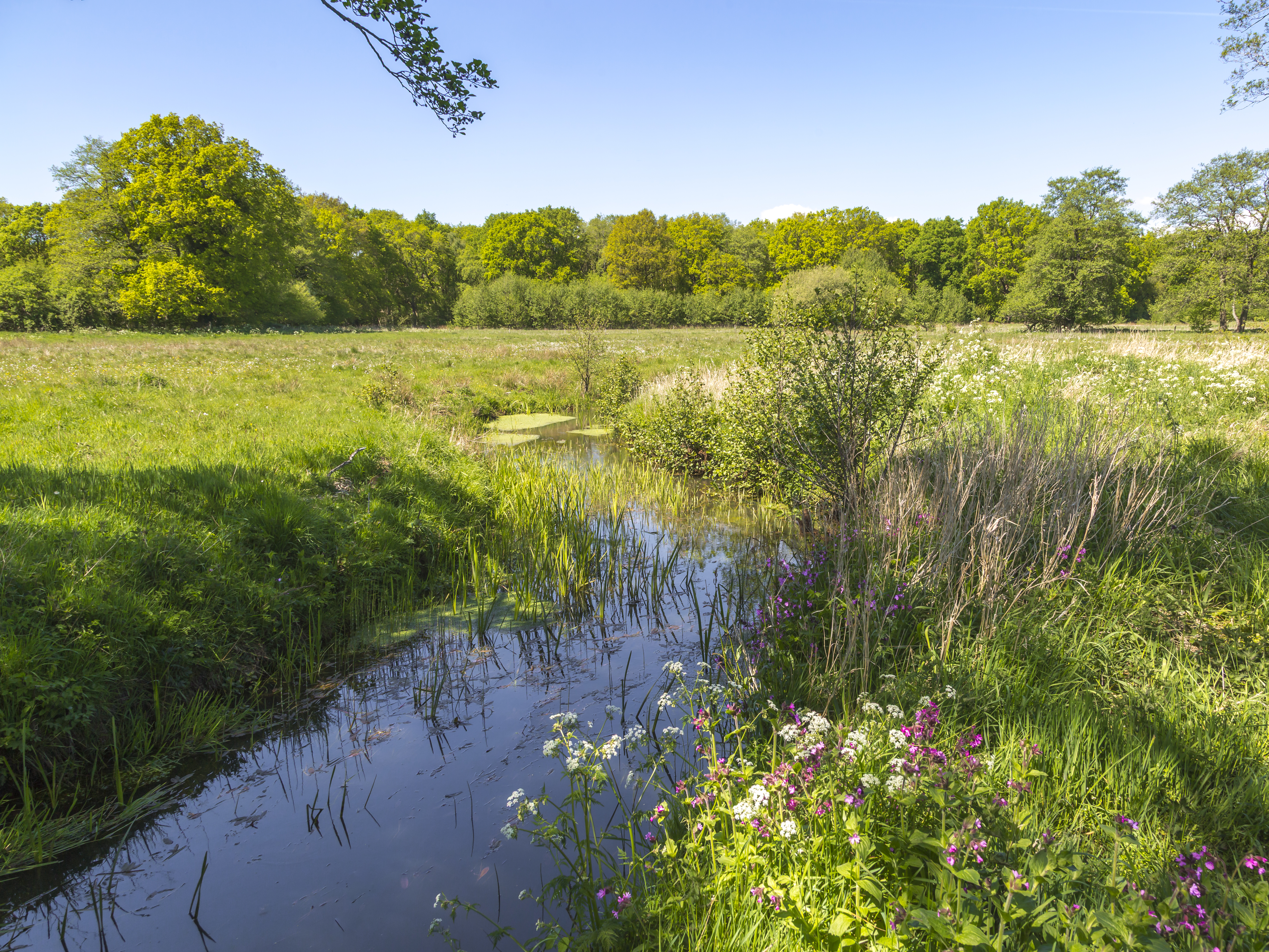 Nationalpark Drentsche Aa