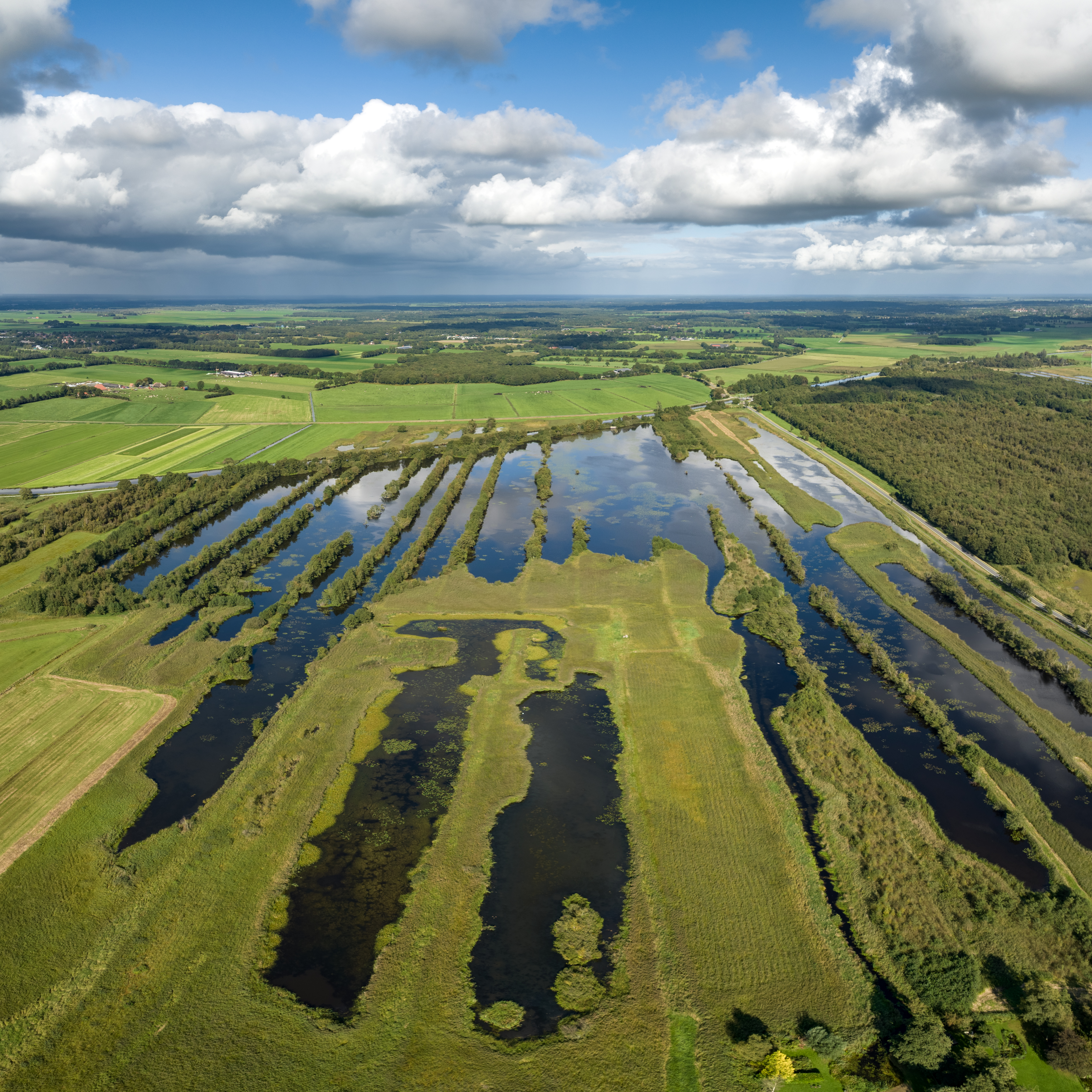 Nationalpark Weerribben-Wieden