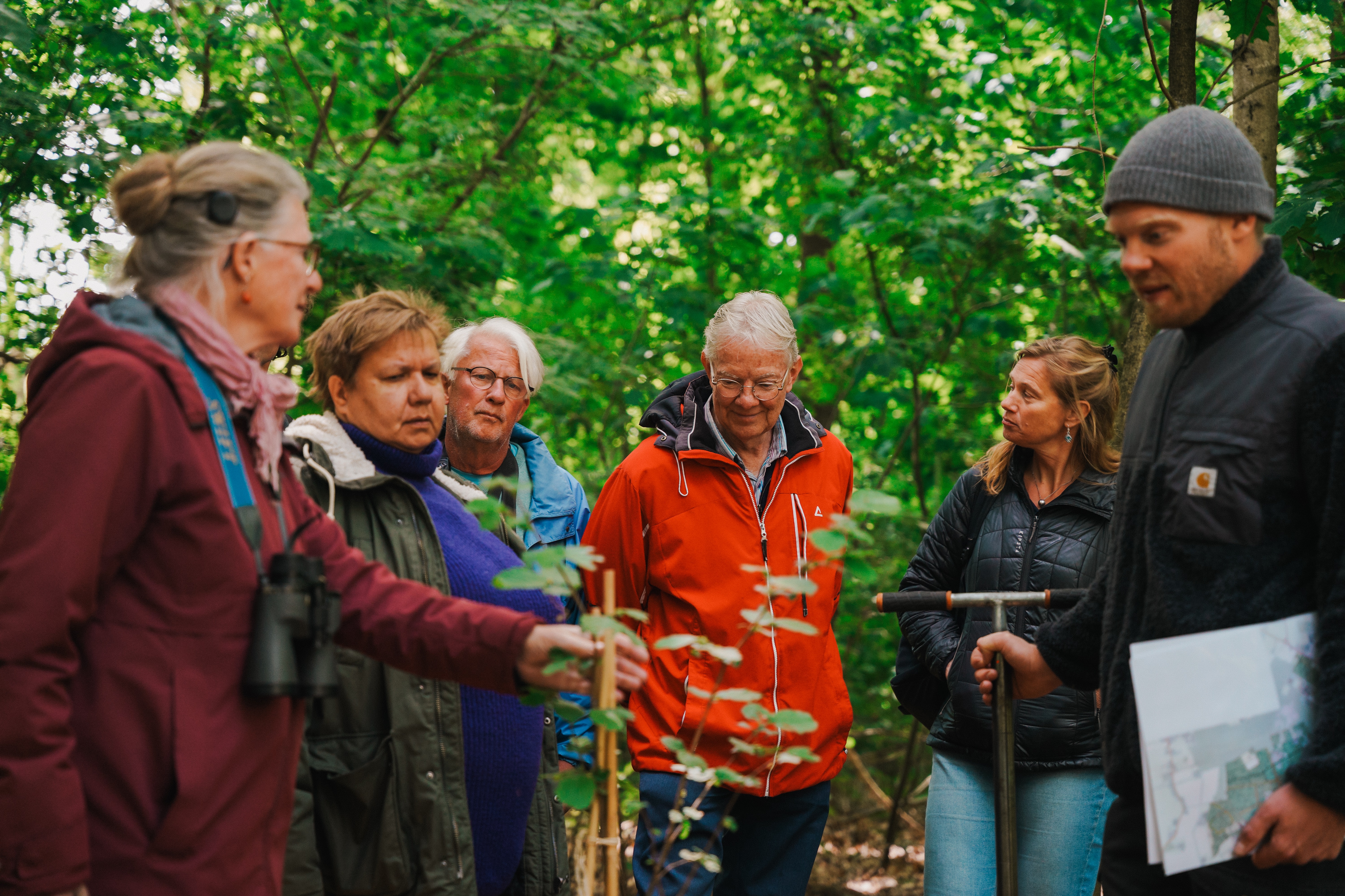 Fotograaf Jasper Dufraing, Grenspark Kalmthoutse Heide