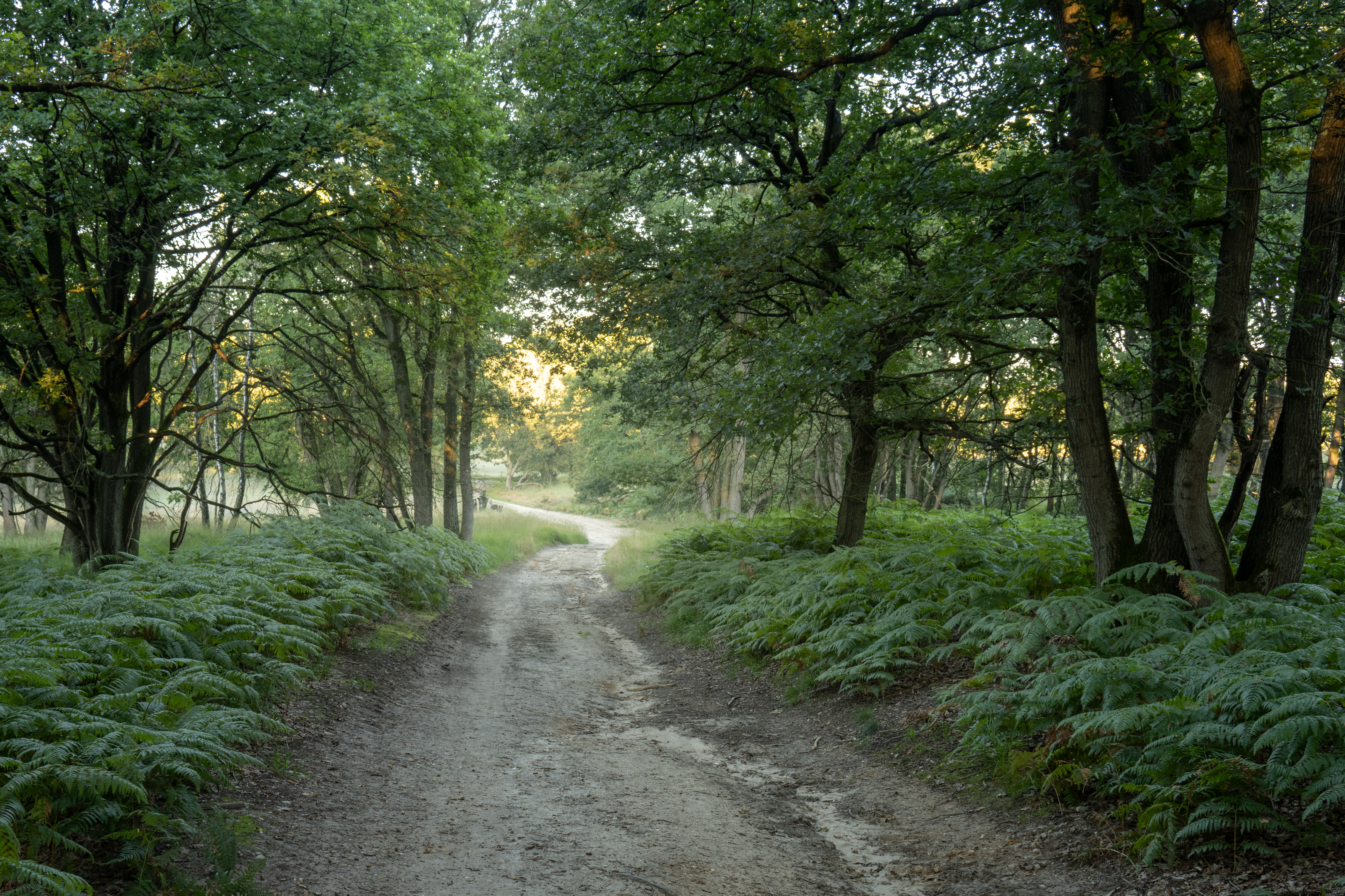 Nationaal Park De Meinweg