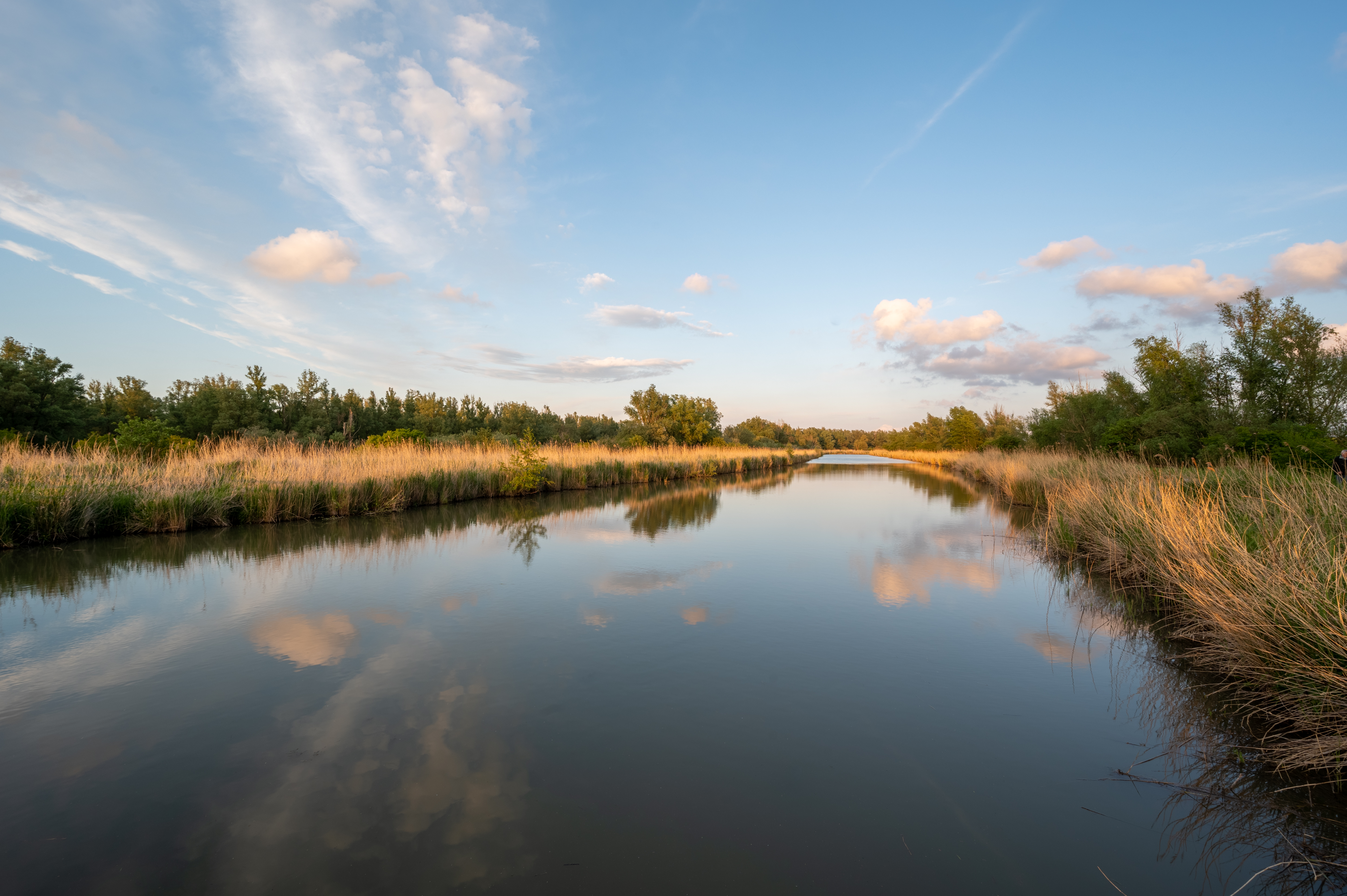 Nationalpark Nieuw Land