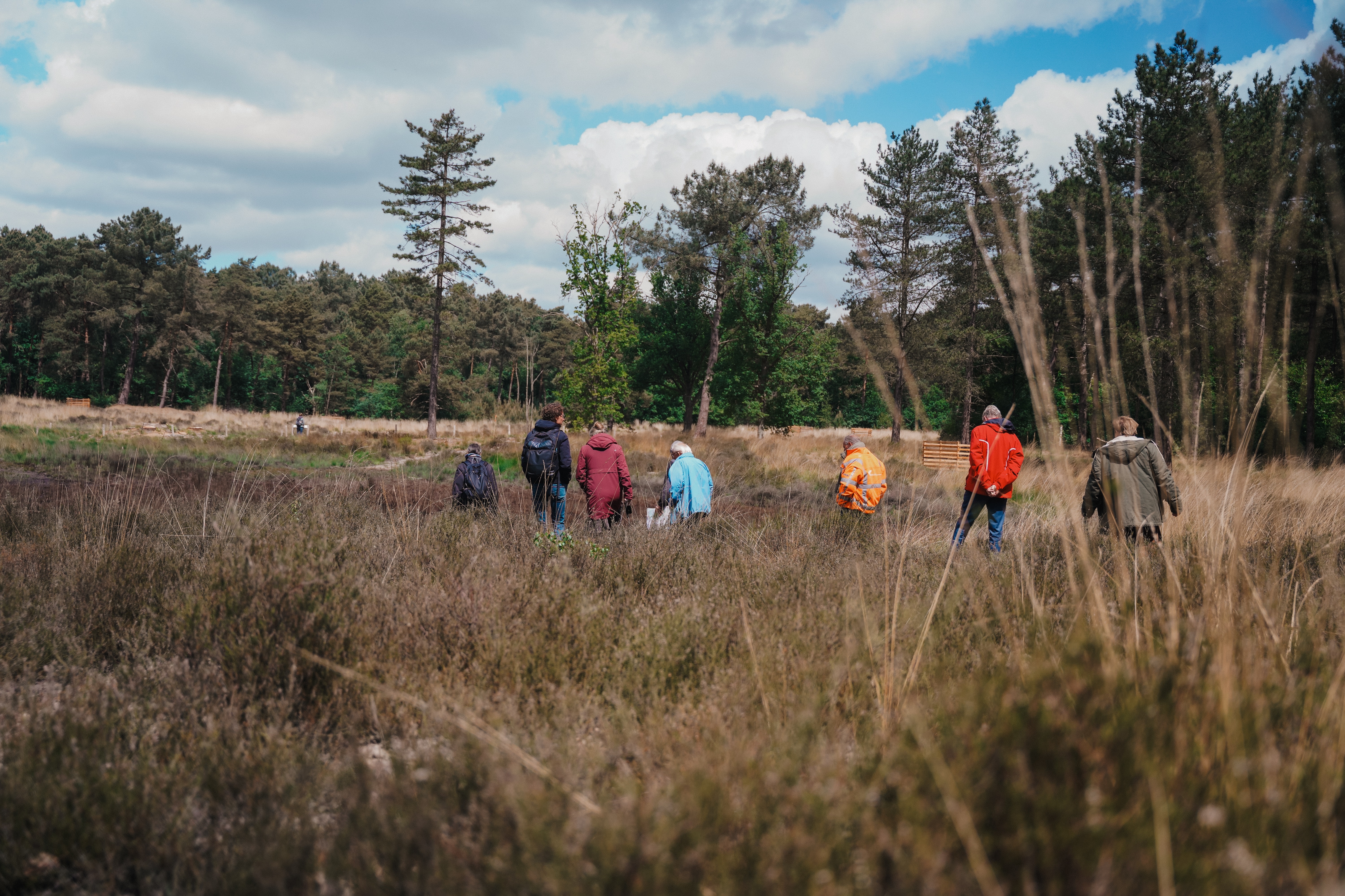 Nationalpark Kalmthoutse Heide