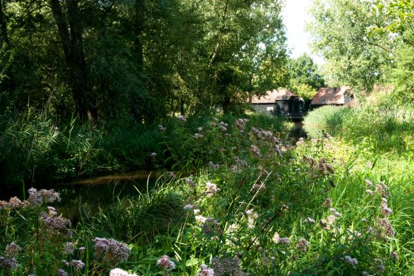 Collse Watermolen