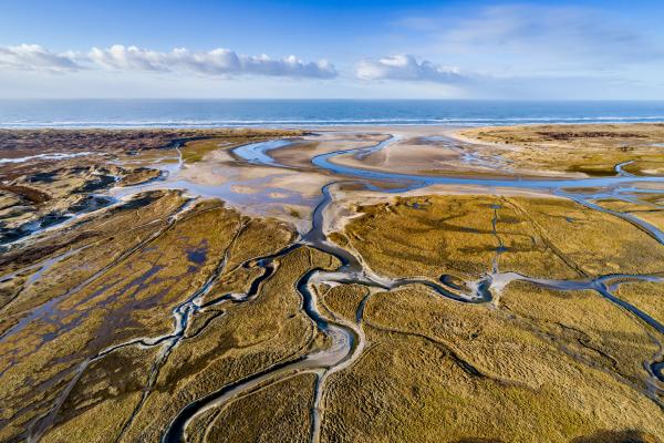 NP Duinen van Texel