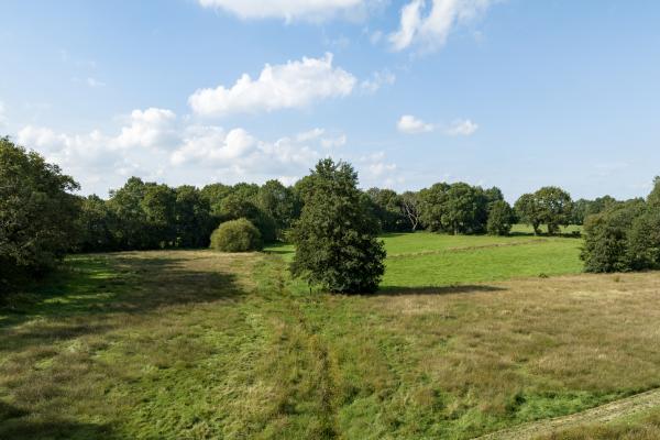 Nationaal Park Drentsche Aa