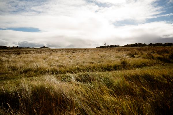 Nationaal Park Schiermonnikoog