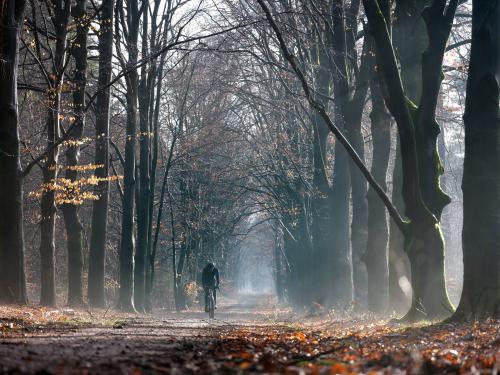 Nationaal Park Utrechtse Heuvelrug - Mountainbike
