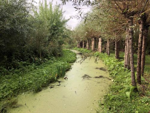 Nationaal Park de Biesbosch, Noordwaard