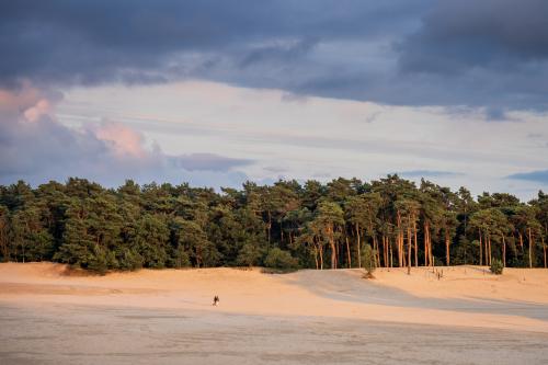 Soesterduinen