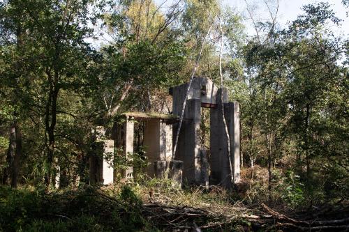 Cultuurlandschap
