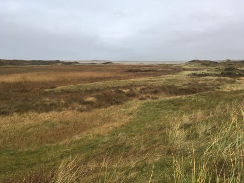 Nationaal Park Duinen Van Texel
